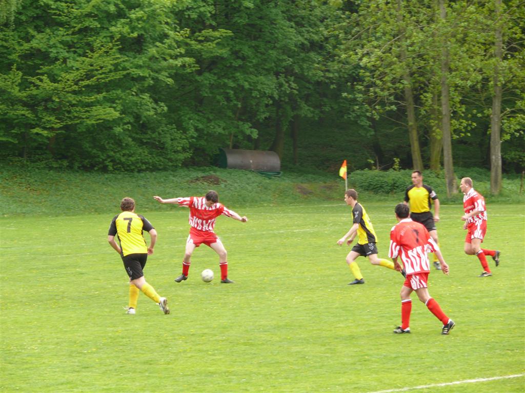 P1080887 (Large).JPG