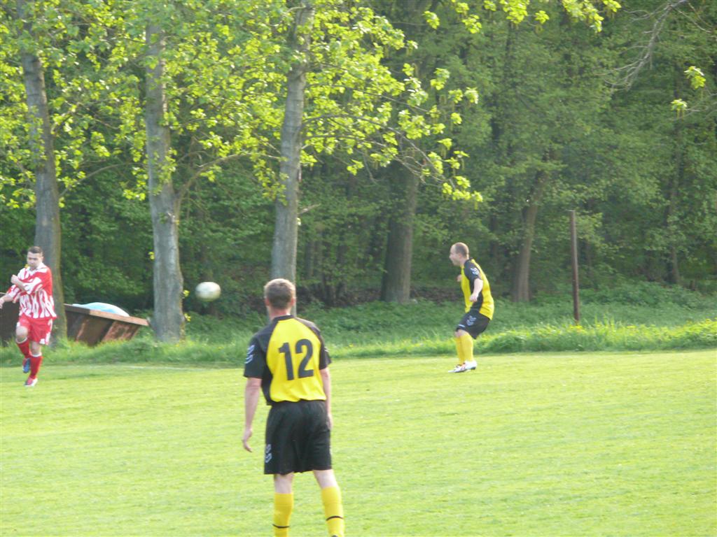 P1080940 (Large).JPG