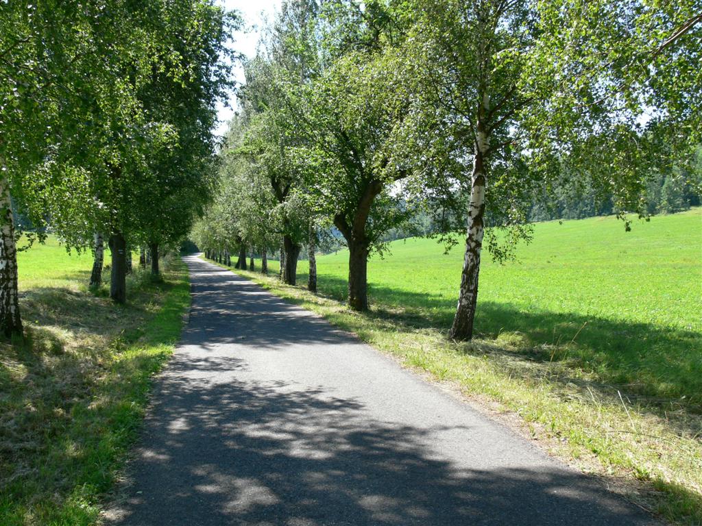 P1000446 (Large).JPG