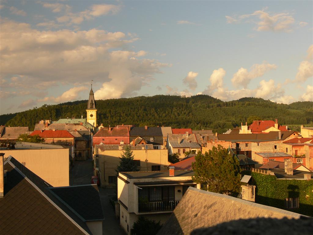 P1030206 (Large).JPG