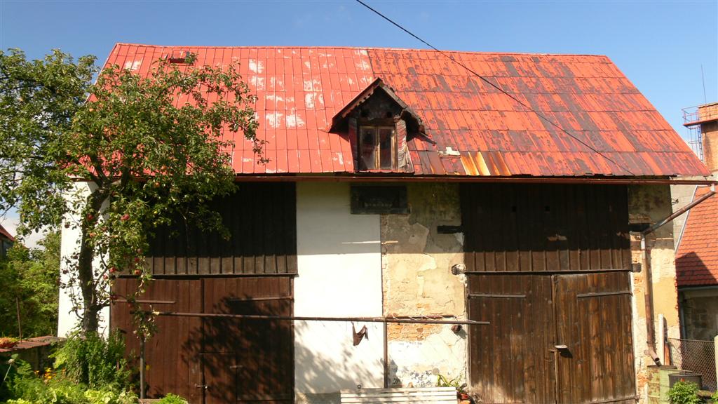 P1030245 (Large).JPG