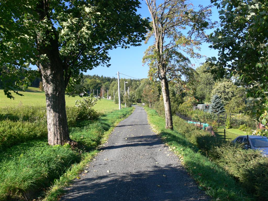 P1030547 (Large).JPG