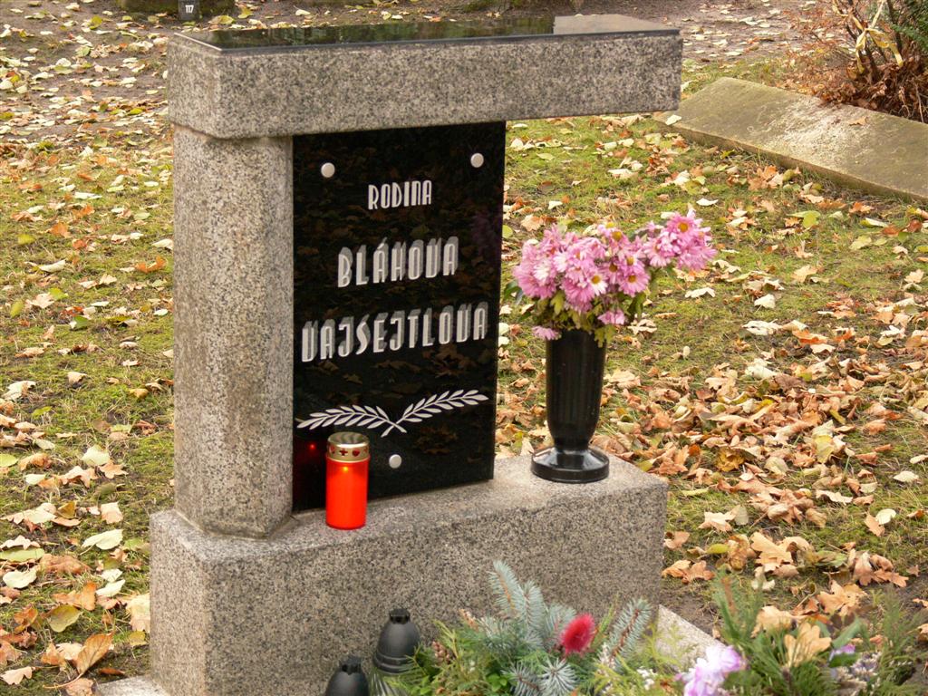 P1040573 (Large).JPG