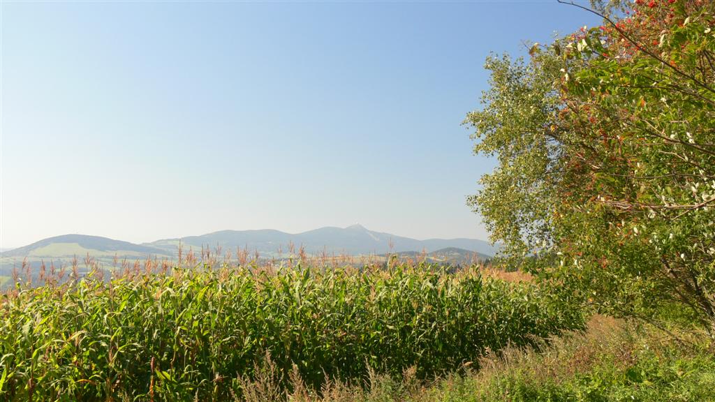 P1030676 (Large).JPG