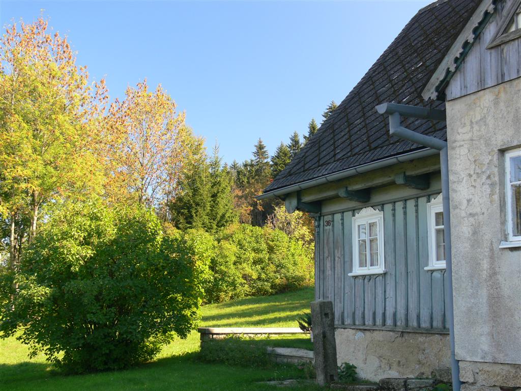 P1030677 (Large).JPG