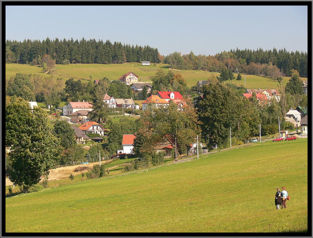 P1030856 (Large).JPG