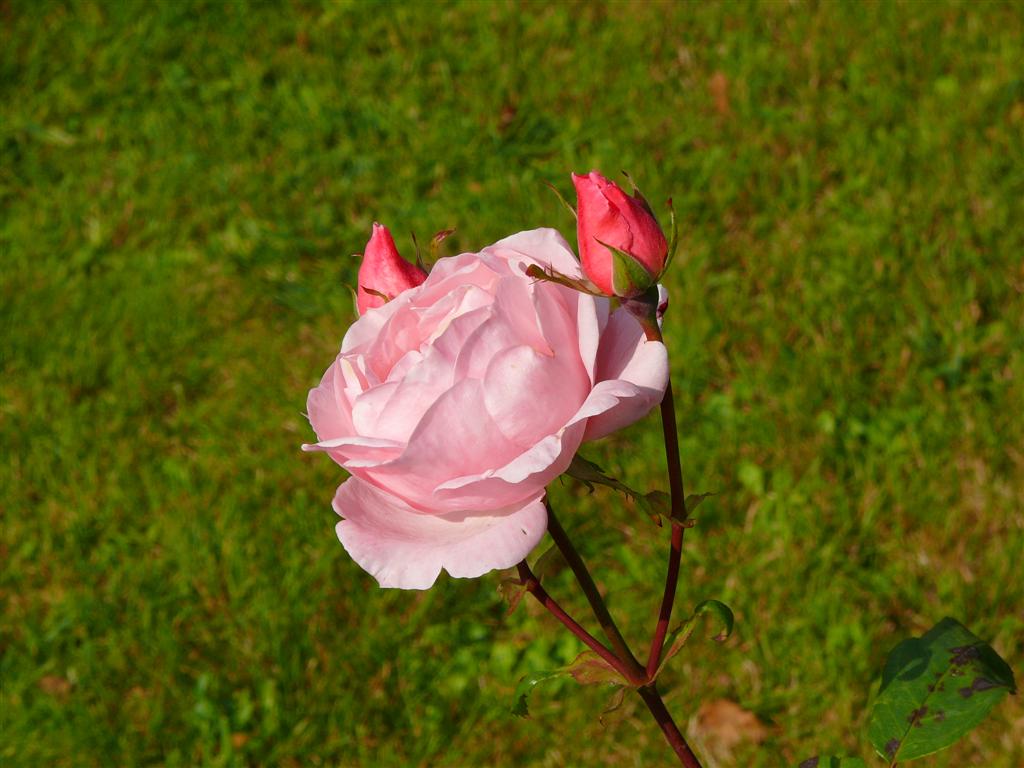 p1080111--large-