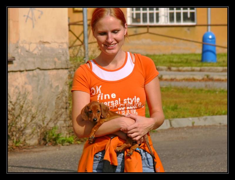 P1030938 (Medium).JPG